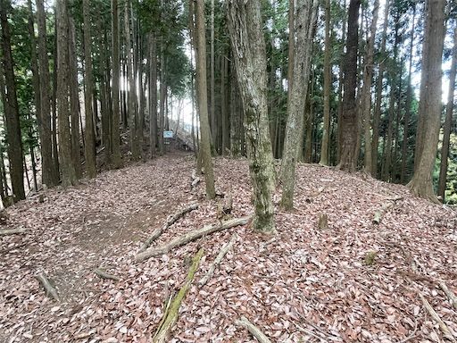 f:id:tmtmz:20230321231937j:image