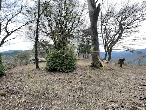 f:id:tmtmz:20230321231948j:image