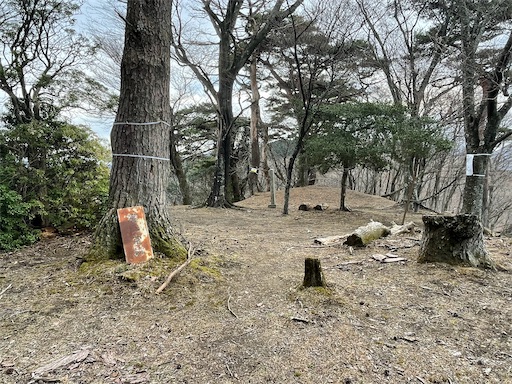 f:id:tmtmz:20230321231953j:image