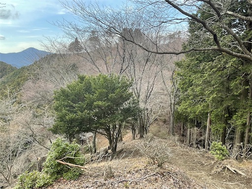 f:id:tmtmz:20230321231956j:image