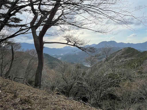 f:id:tmtmz:20230321231959j:image