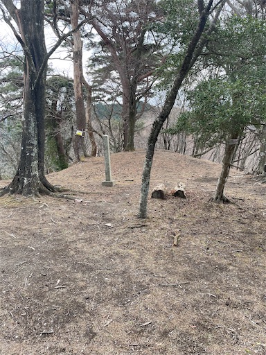 f:id:tmtmz:20230321232005j:image