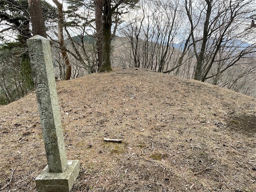 f:id:tmtmz:20230321232013j:image