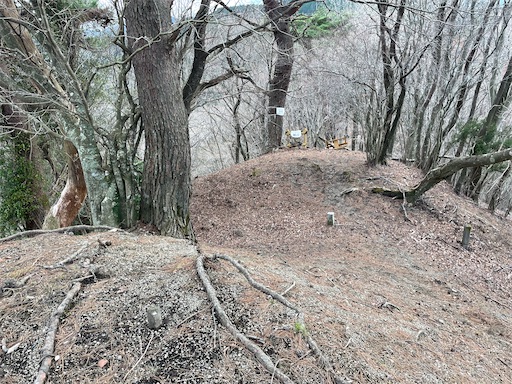 f:id:tmtmz:20230321232019j:image