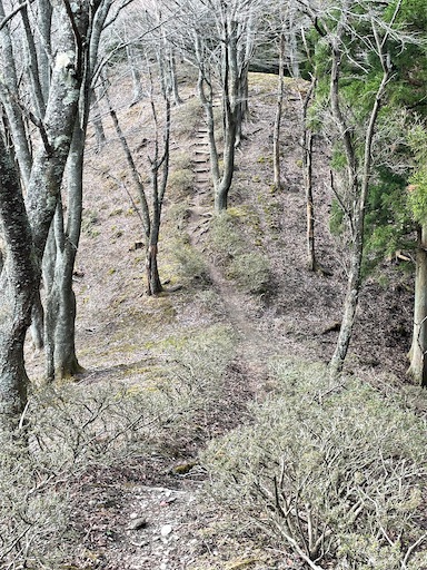 f:id:tmtmz:20230321232036j:image