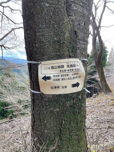 f:id:tmtmz:20230321232042j:image