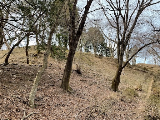 f:id:tmtmz:20230321232045j:image