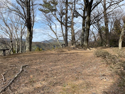 f:id:tmtmz:20230321232110j:image