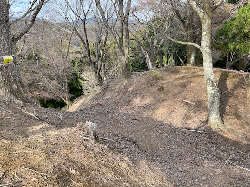 f:id:tmtmz:20230321232119j:image