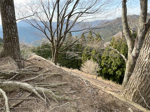 f:id:tmtmz:20230321232128j:image