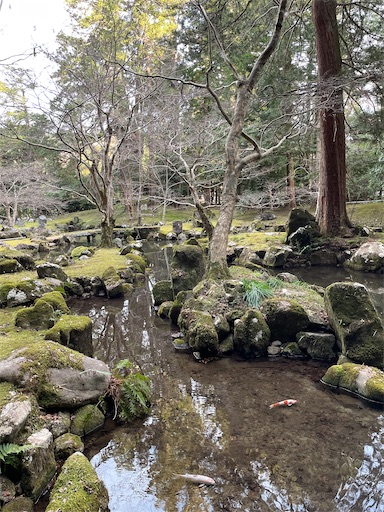 f:id:tmtmz:20230322065557j:image