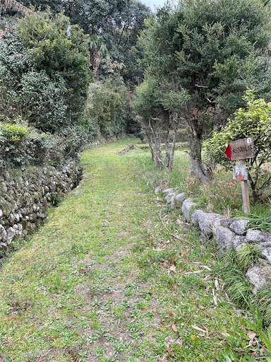 f:id:tmtmz:20230323001347j:image