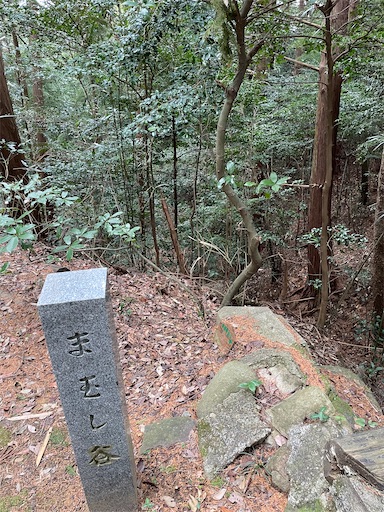 f:id:tmtmz:20230323001617j:image