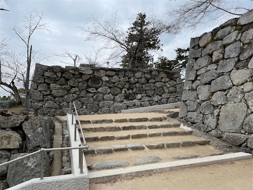 f:id:tmtmz:20230325200029j:image f:id:tmtmz:20230325200029j:image