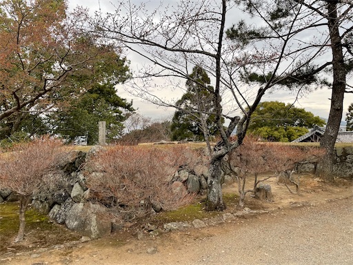 f:id:tmtmz:20230325200230j:image