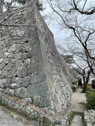 f:id:tmtmz:20230325200438j:image