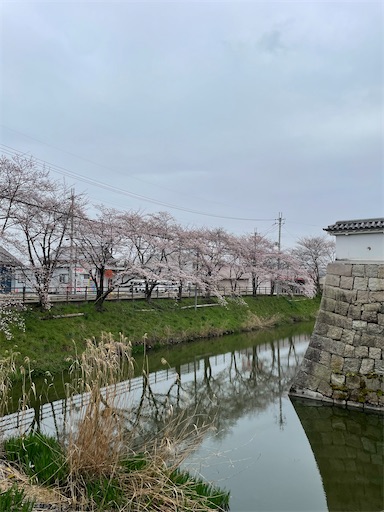 f:id:tmtmz:20230325202025j:image