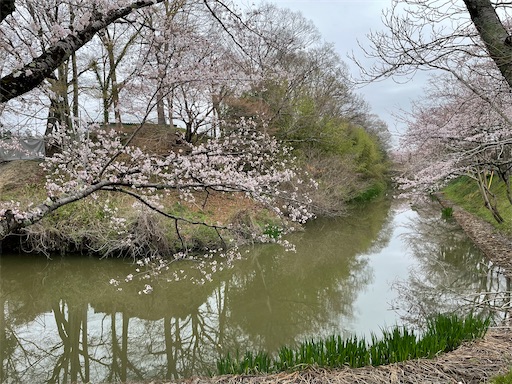 f:id:tmtmz:20230325202120j:image