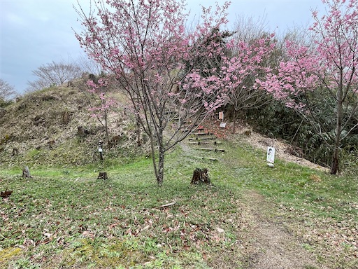 f:id:tmtmz:20230326063501j:image