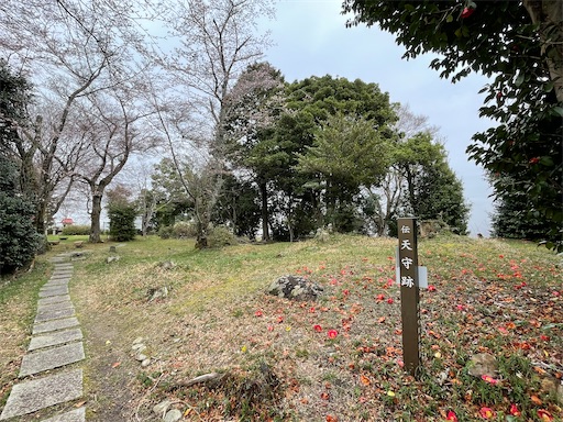 f:id:tmtmz:20230326063643j:image