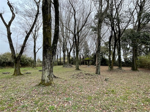 f:id:tmtmz:20230326063744j:image