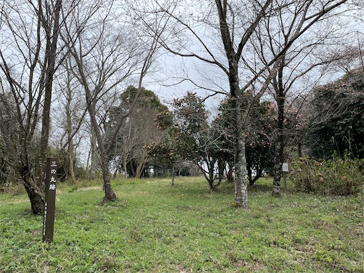 f:id:tmtmz:20230326064014j:image