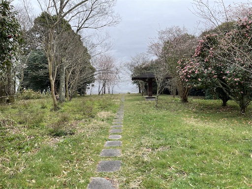 f:id:tmtmz:20230326064020j:image