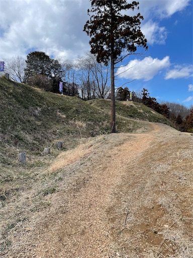 f:id:tmtmz:20240310203231j:image