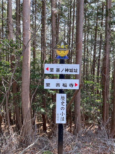 f:id:tmtmz:20240322185403j:image