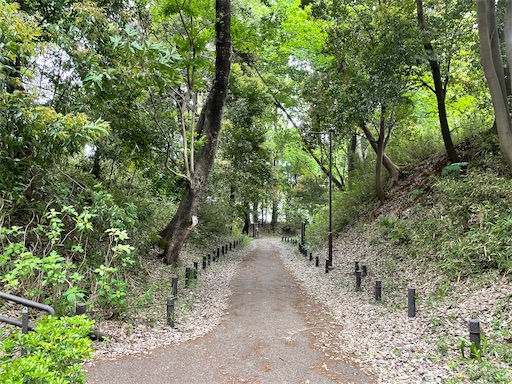 f:id:tmtmz:20240517090332j:image