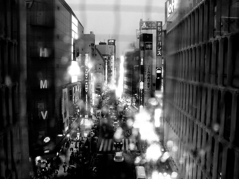 f:id:tmv17:20080913233313j:image:w500 f:id:tmv17:20080913233313j:image:w500