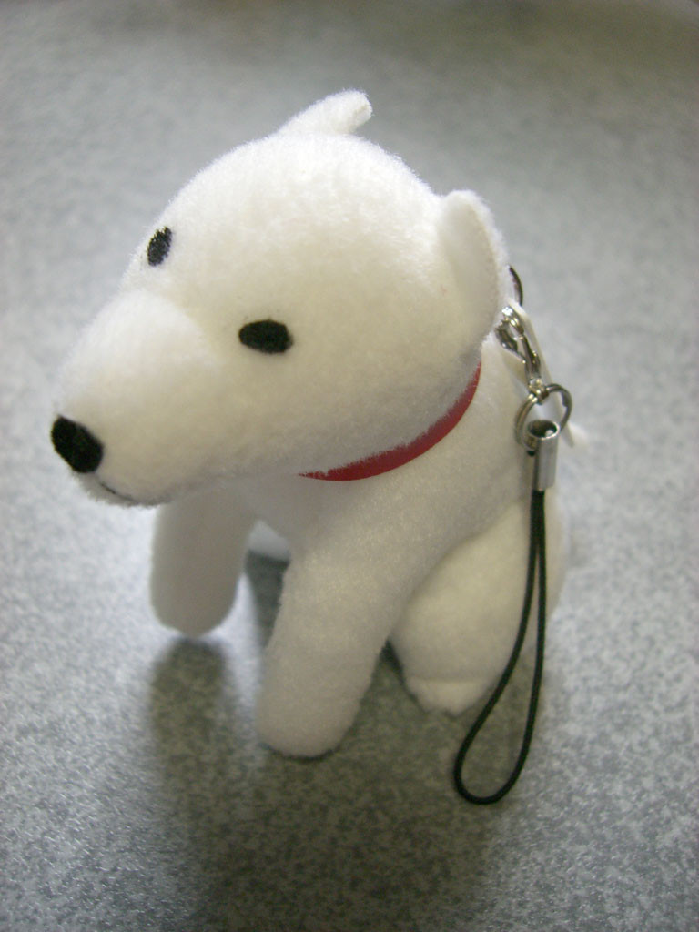 f:id:tmx:20080712210608j:image:h240