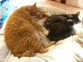 f:id:tmx:20090112184106j:image:medium f:id:tmx:20090112184106j:image:medium