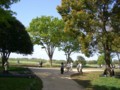 CIMG5604.JPG