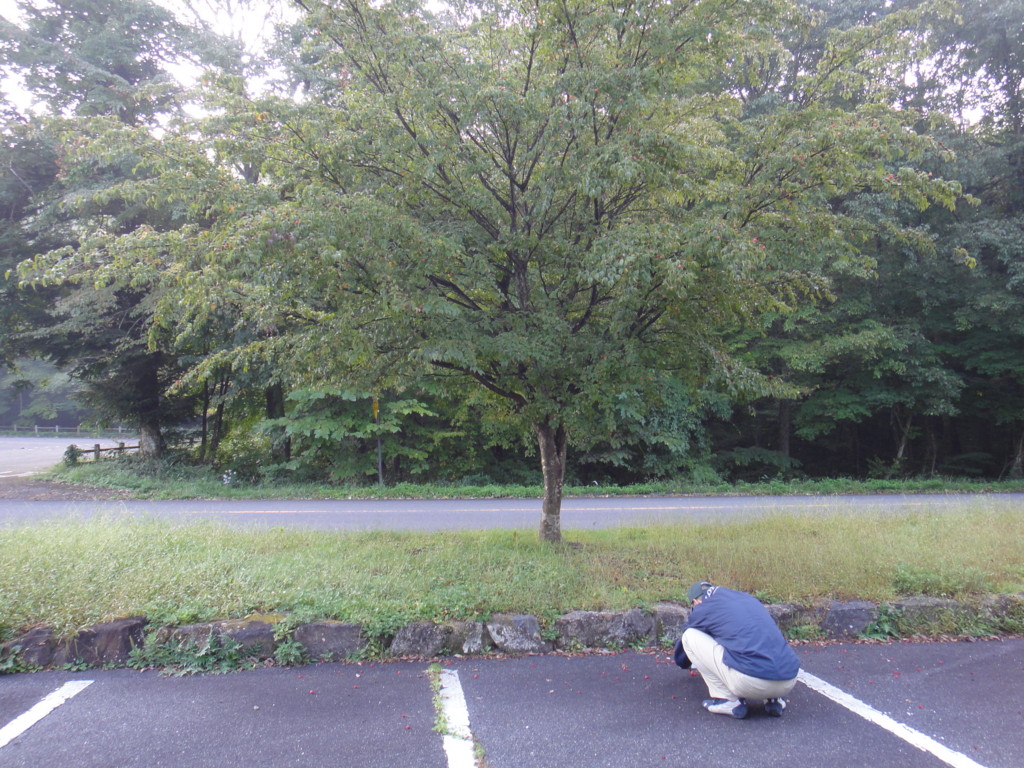 f:id:tmx:20111009073722j:image f:id:tmx:20111009073722j:image
