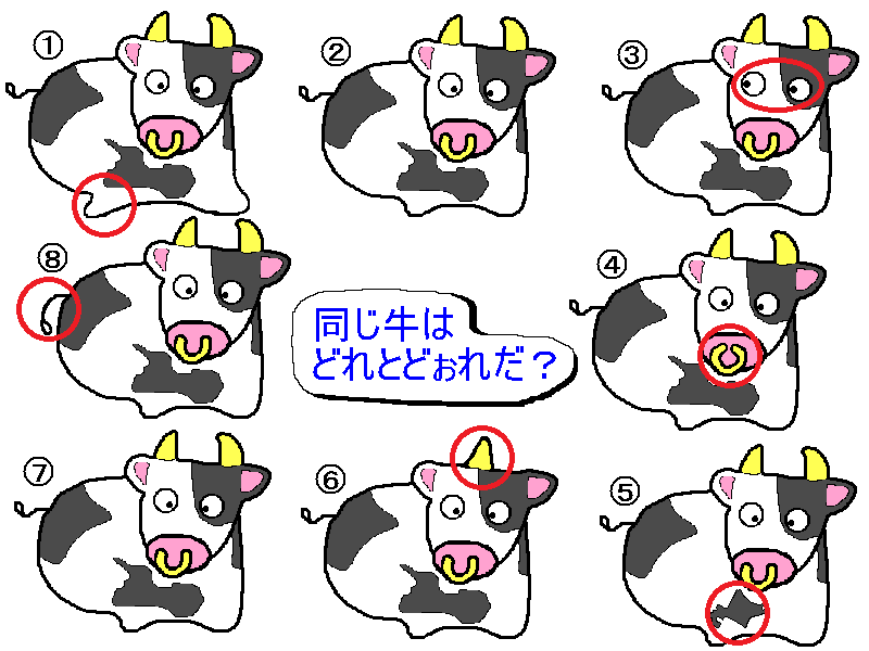 f:id:tn198403s:20210101223356p:plain