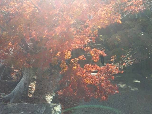 f:id:tn198403s:20211202201520j:plain