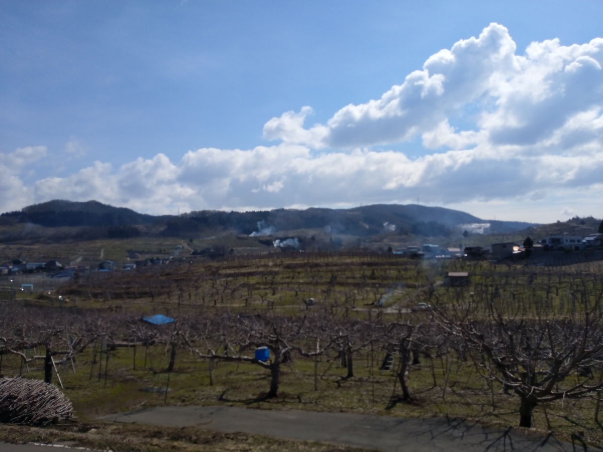f:id:tn625:20190412223849j:plain f:id:tn625:20190412223849j:plain