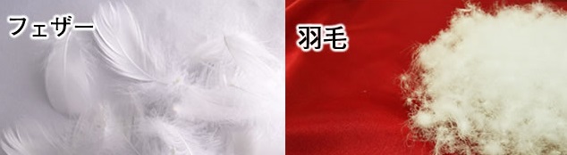 f:id:tn9:20191130010242j:plain f:id:tn9:20191130010242j:plain