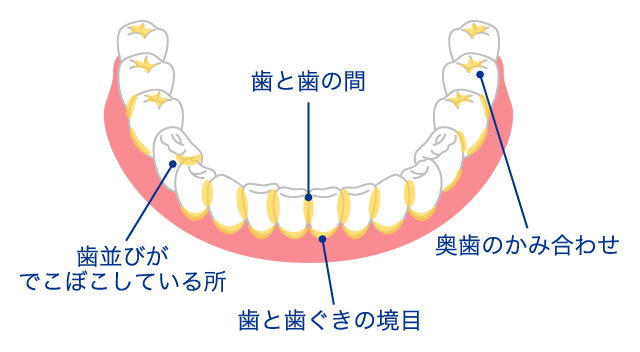 正しい歯磨きのやり方 おすすめ情報発信局 正しい歯磨きのやり方 おすすめ情報発信局