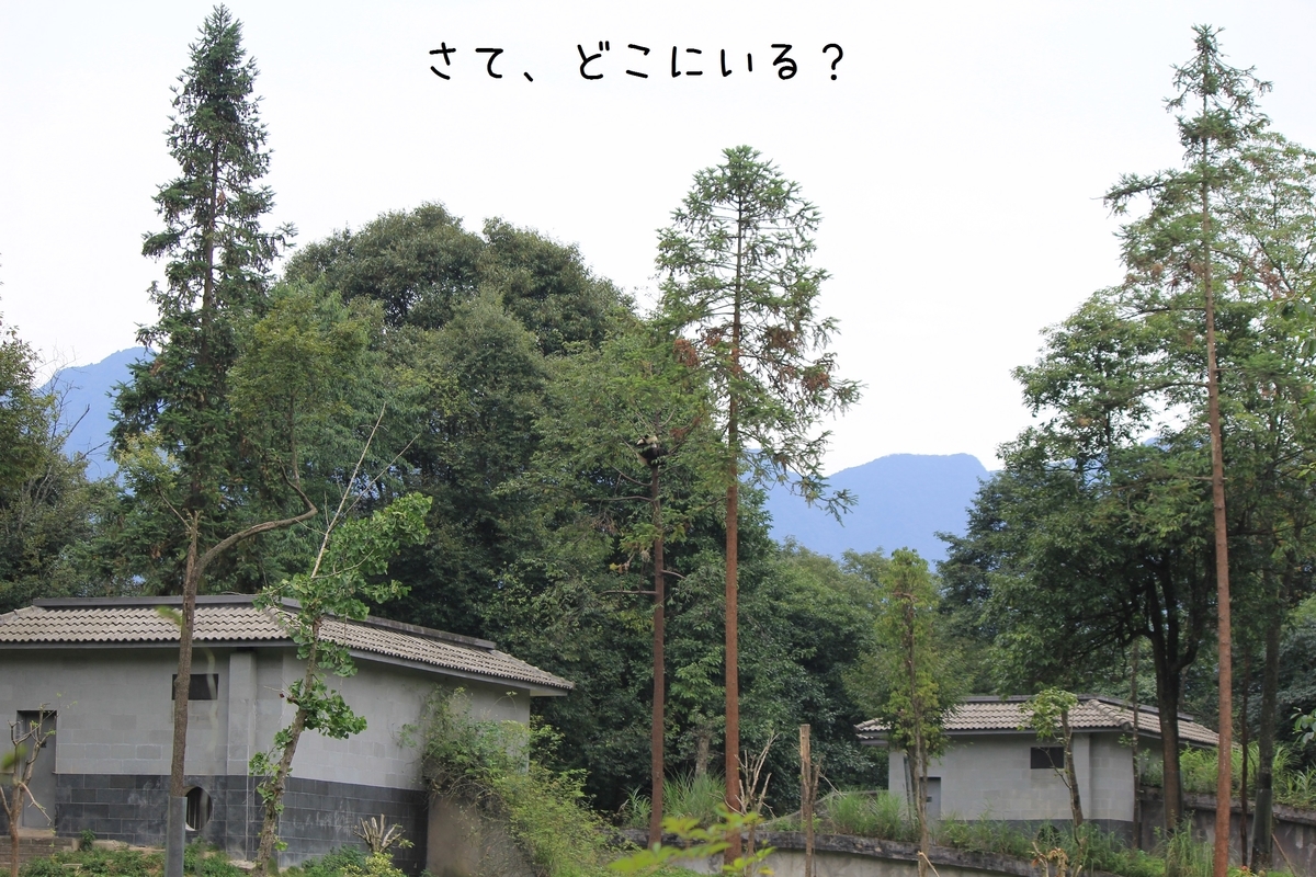 f:id:tna3yko:20190818050131j:plain