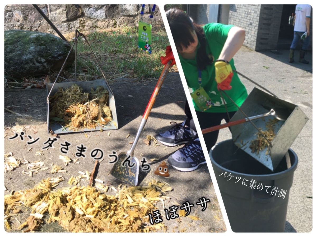 f:id:tna3yko:20190820221944j:plain