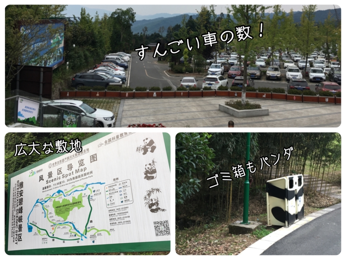 f:id:tna3yko:20190820223207j:plain