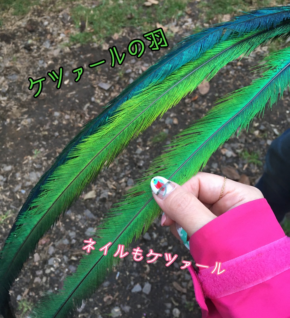 f:id:tna3yko:20191231135555j:plain