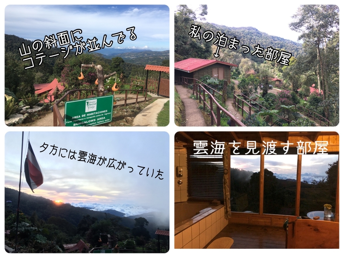 f:id:tna3yko:20191231140110j:plain