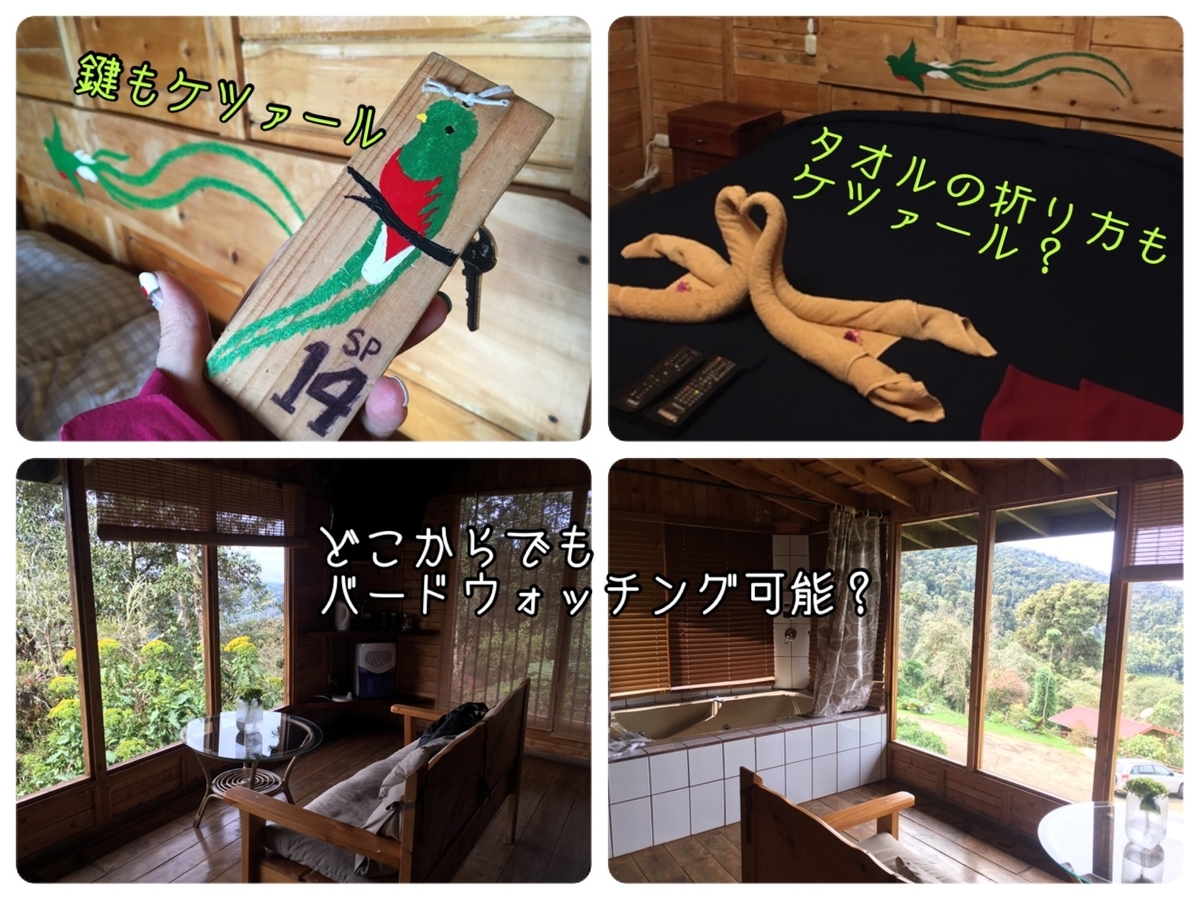 f:id:tna3yko:20191231140141j:plain