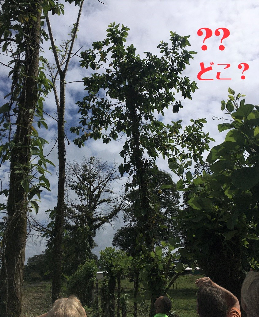 f:id:tna3yko:20200105010528j:plain