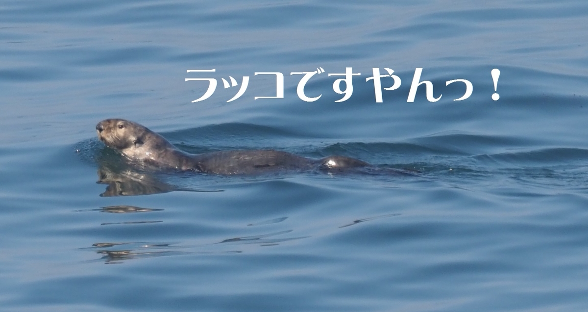 f:id:tna3yko:20200819152804j:plain
