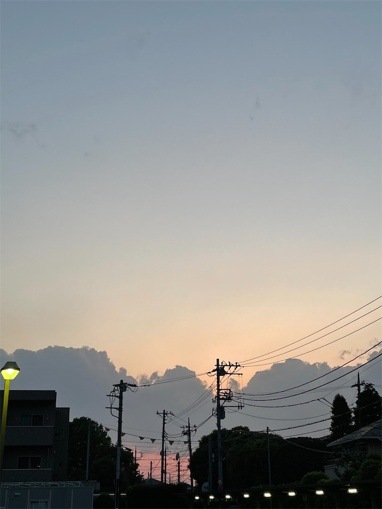 f:id:tnasm:20210509224322j:image f:id:tnasm:20210509224322j:image
