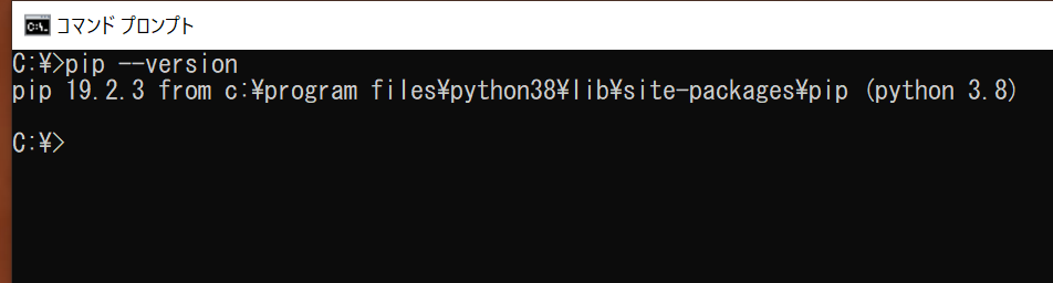 実行コマンドの下行に"pip 19.2.3 from..."と表示されている。